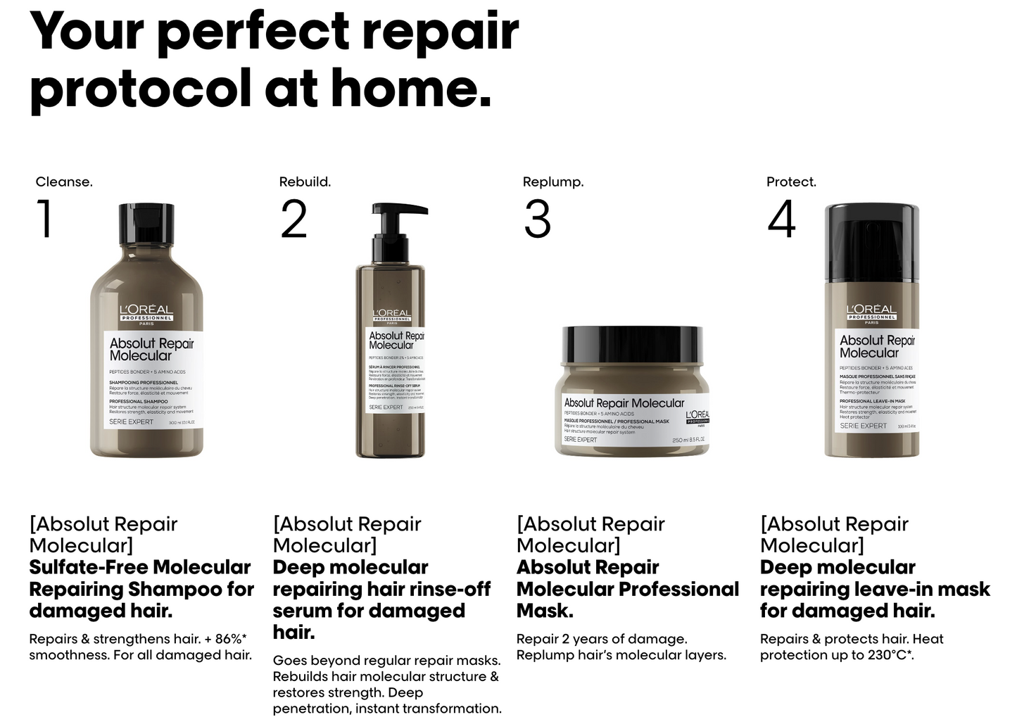 L'Oreal Professionnel Absolut Repair Molecular (ARM) Home Kit